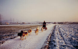 Grönlandhunde Gespann Heiner Dröge 1984