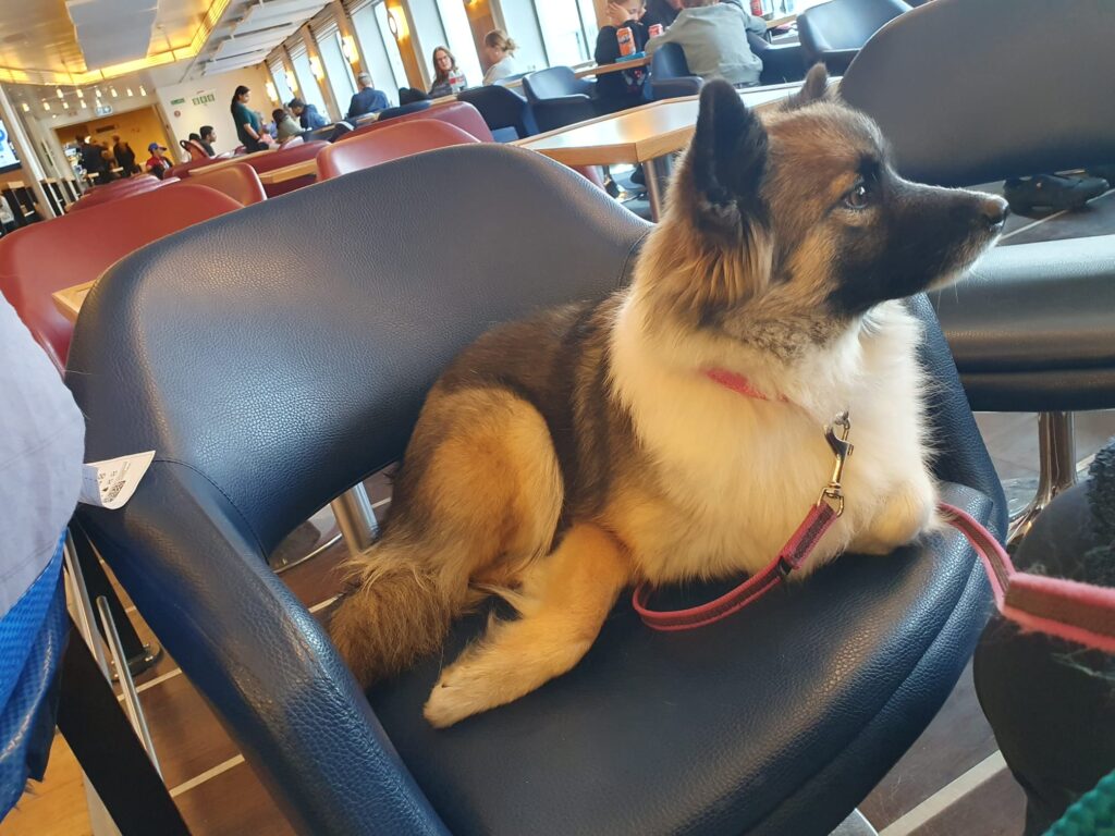 WhatsApp Image 2026-04-04 at 19.28.51 (3)