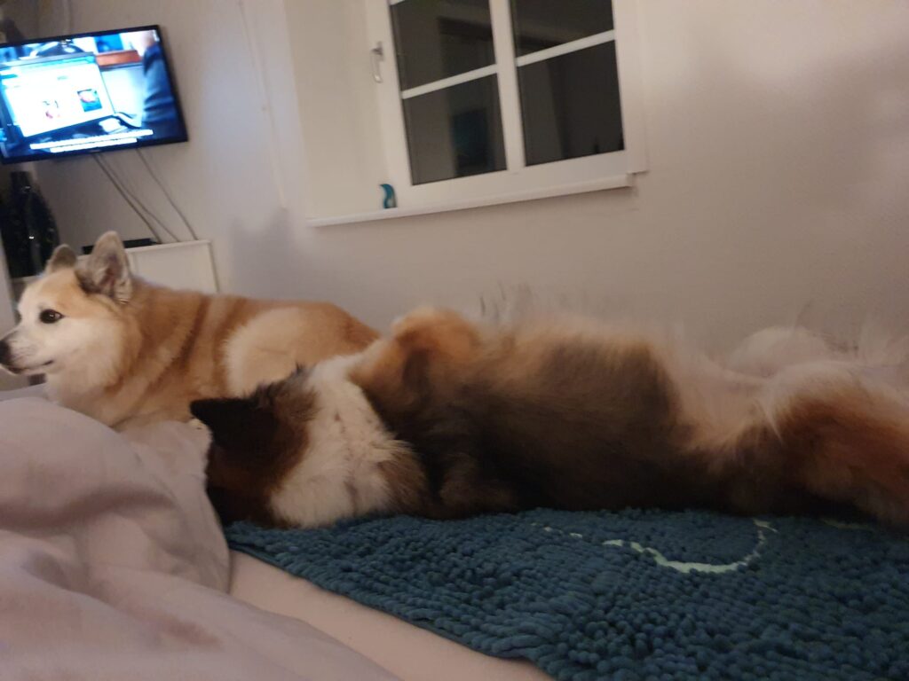 WhatsApp Image 2026-04-04 at 19.28.51 (4)