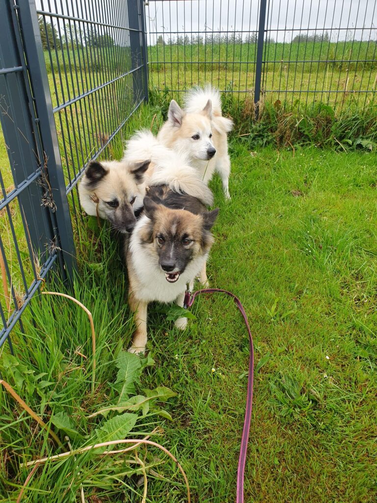 WhatsApp Image 2026-04-04 at 19.28.51 (5)