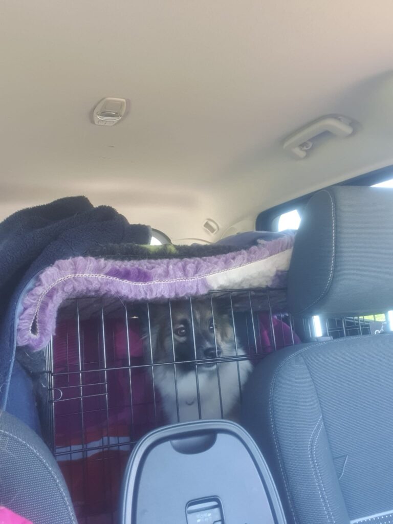 WhatsApp Image 2026-04-04 at 19.28.51