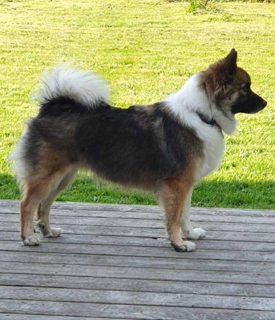 WhatsApp Image 2026-04-04 at 19.24.45 (1)