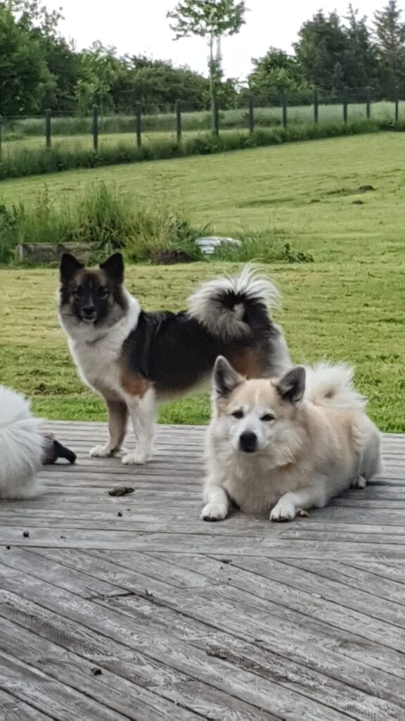 WhatsApp Image 2026-04-04 at 19.24.45 (2)