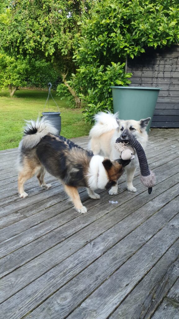 WhatsApp Image 2026-04-04 at 19.24.45 (3)