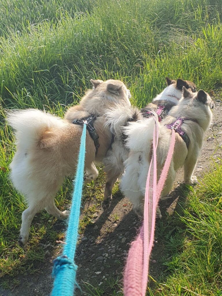 WhatsApp Image 2026-04-04 at 19.24.45