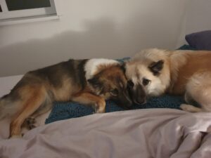 AILA’s erste Tage