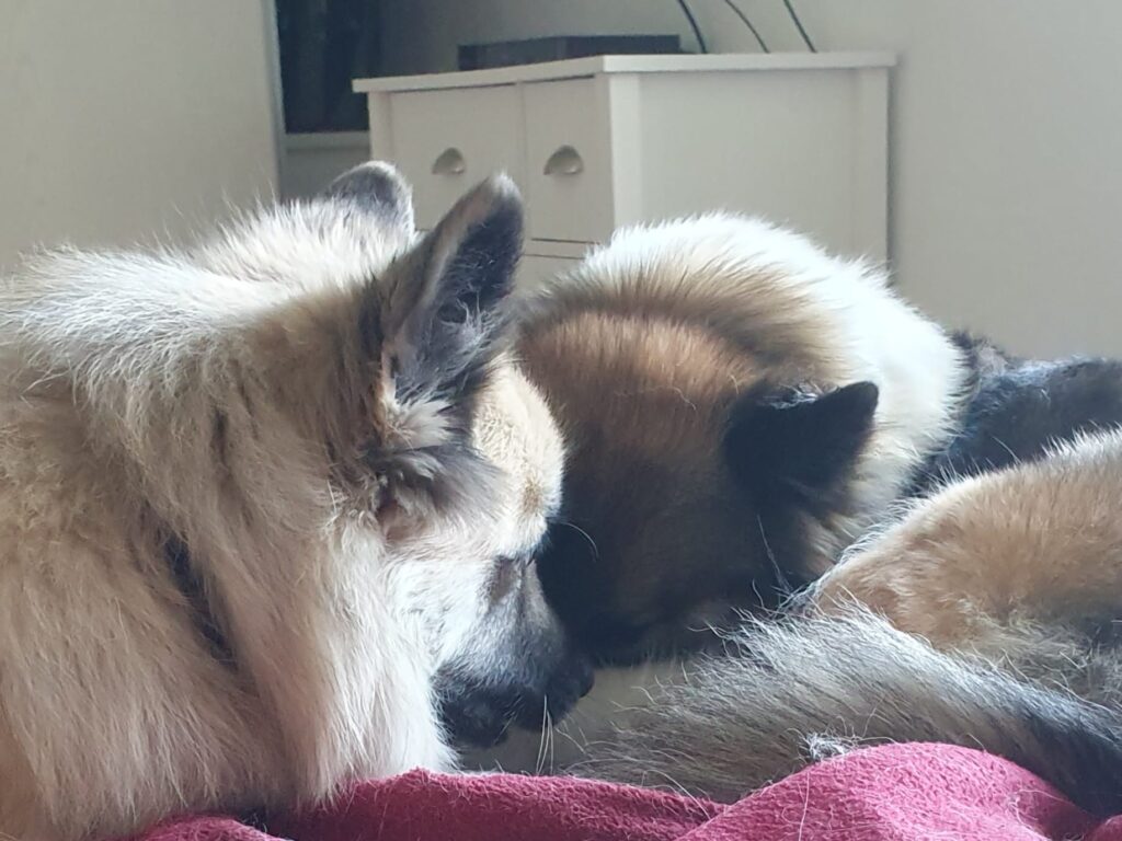 WhatsApp Image 2026-04-04 at 19.24.46