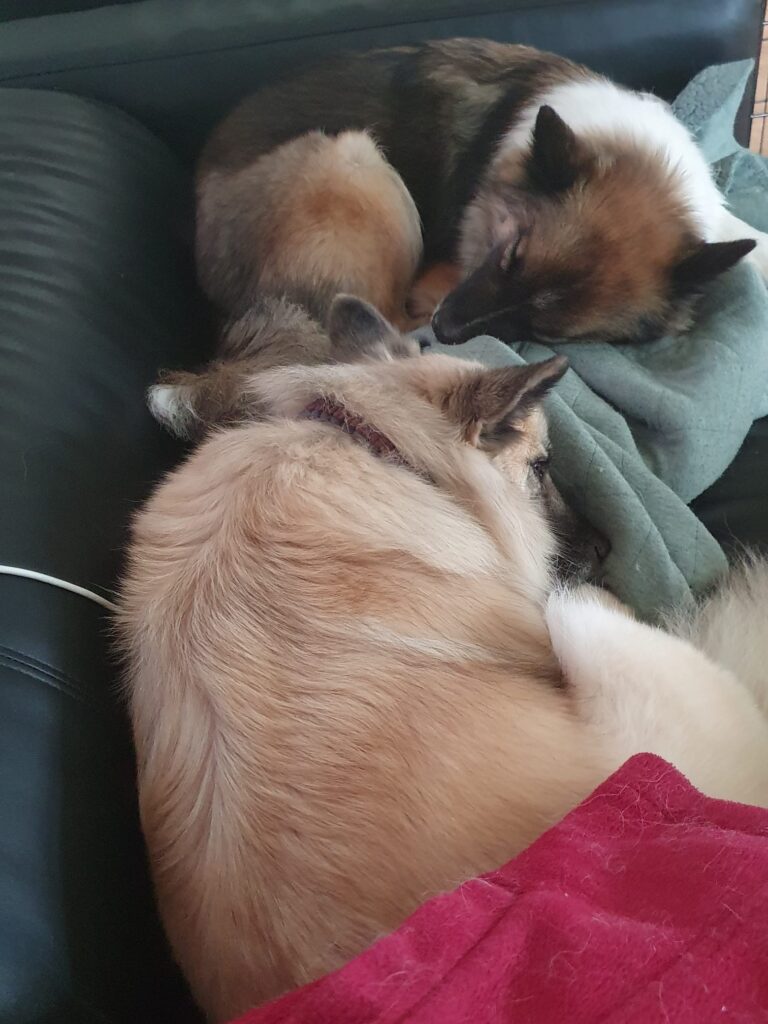 WhatsApp Image 2026-04-04 at 19.24.46 (2)