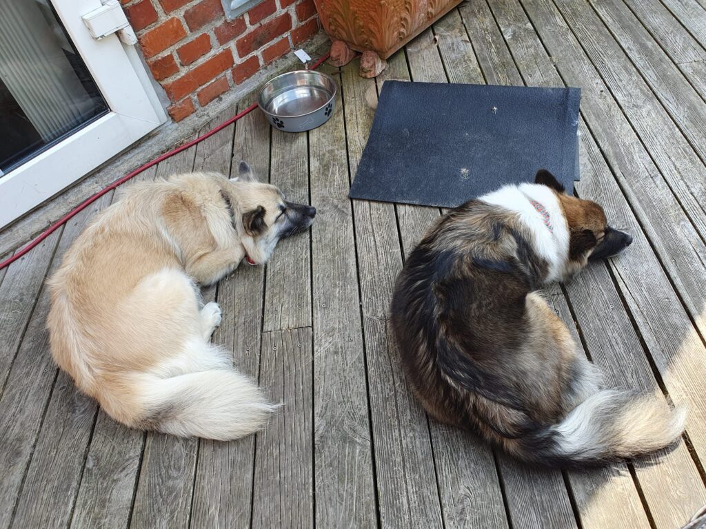 WhatsApp Image 2026-04-04 at 19.24.46 (3)