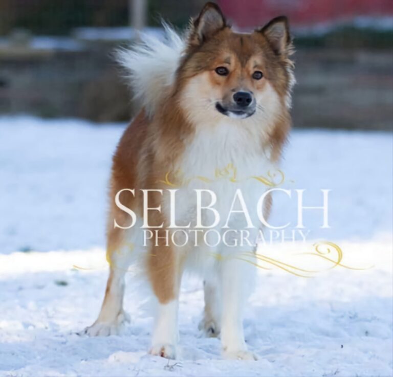 WhatsApp Image 2025-09-24 at 11.45.51 (1)