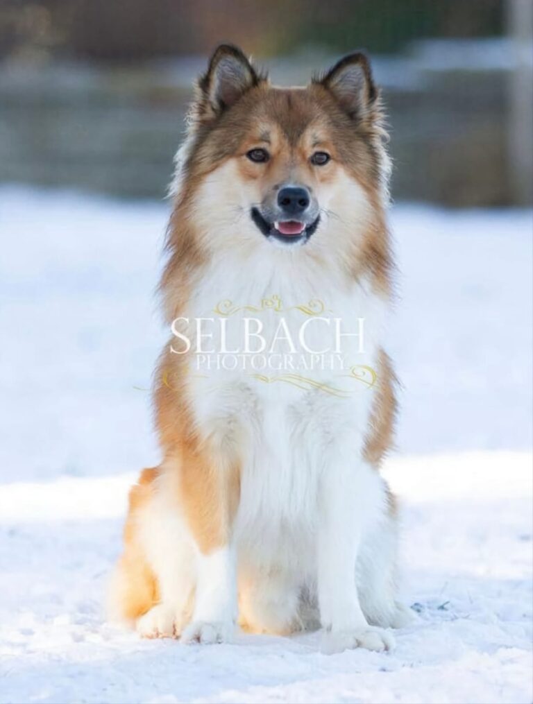 WhatsApp Image 2025-09-24 at 11.45.51 (2)