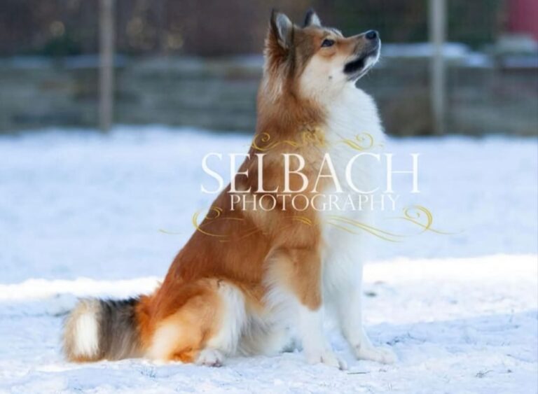 WhatsApp Image 2025-09-24 at 11.45.51 (3)