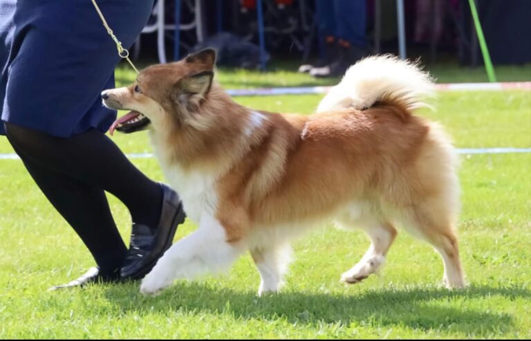 WhatsApp Image 2025-09-24 at 11.45.51 (4)