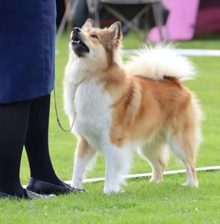 WhatsApp Image 2025-09-24 at 11.45.51 (5)