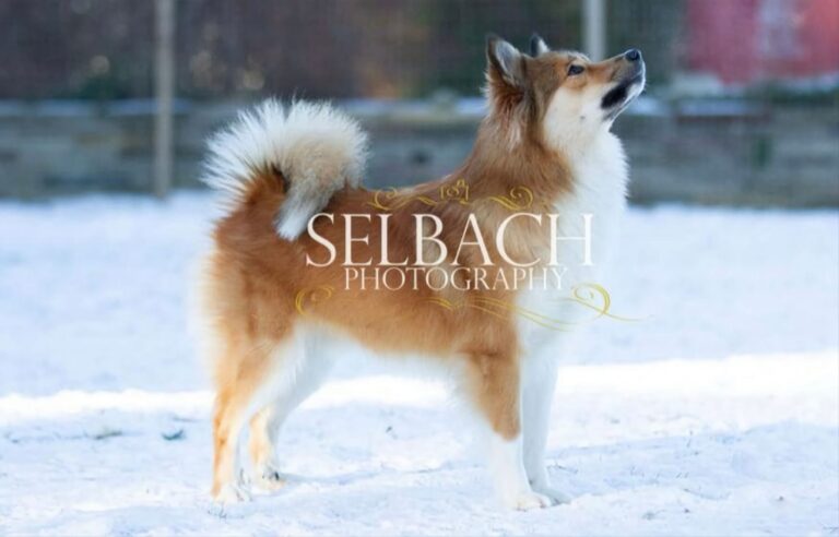 WhatsApp Image 2025-09-24 at 11.45.51