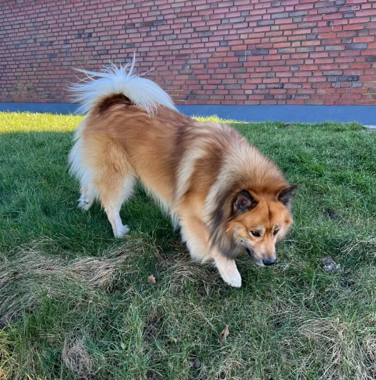 WhatsApp Image 2026-04-04 at 19.10.18 (1)