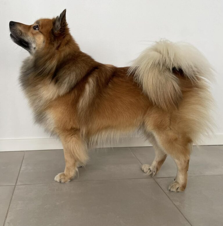 WhatsApp Image 2026-04-04 at 19.10.18