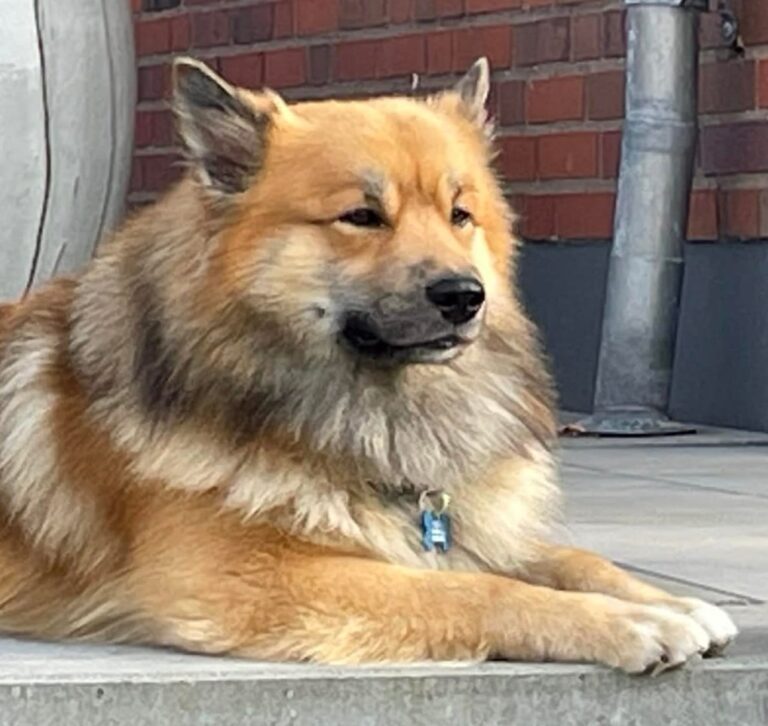 WhatsApp Image 2026-04-04 at 19.12.11