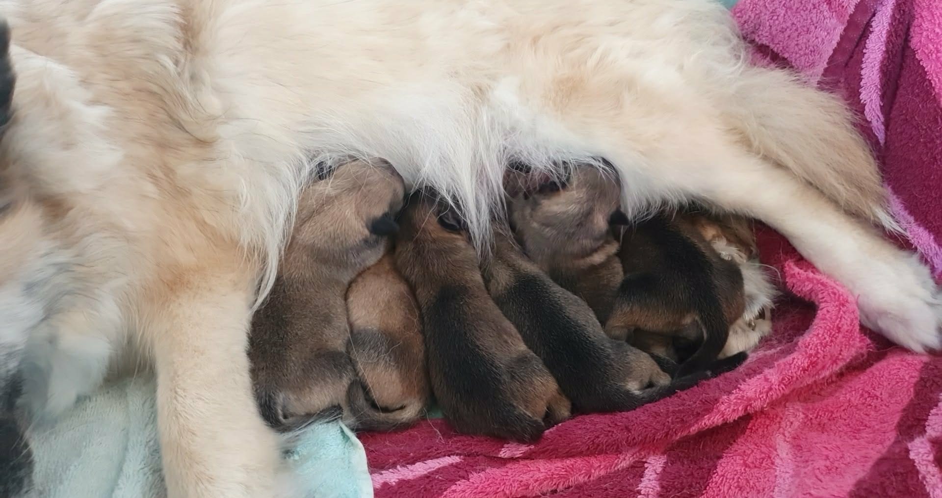 WhatsApp Image 2026-04-11 at 19.37.58