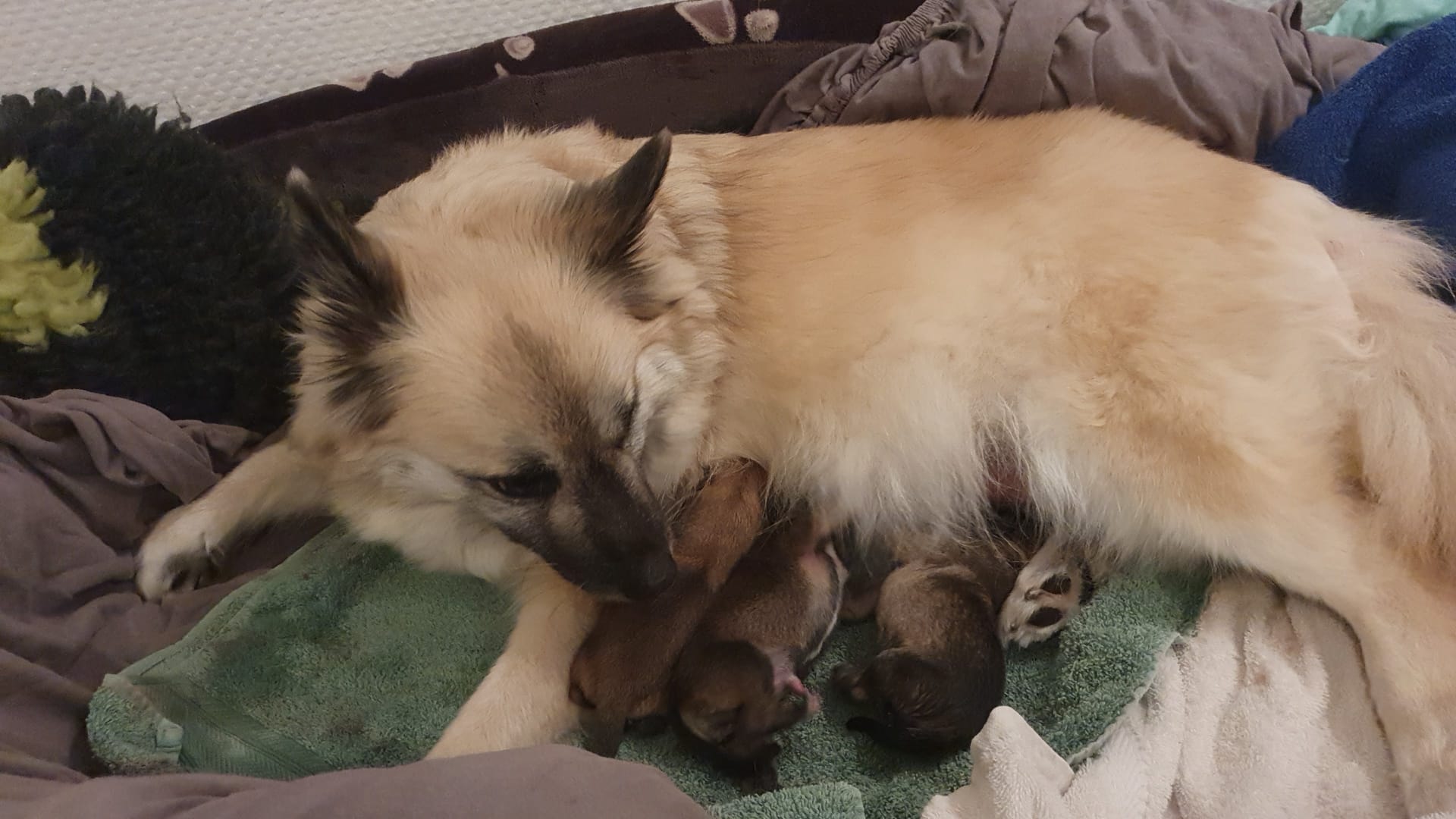 WhatsApp Image 2026-04-11 at 19.38.12