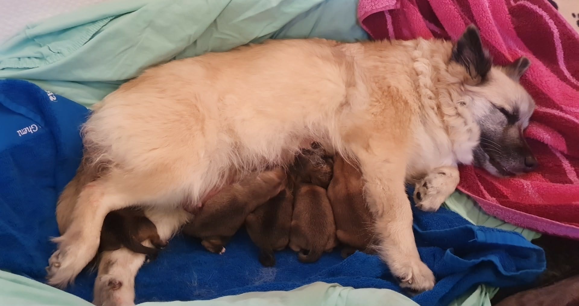 WhatsApp Image 2026-04-11 at 19.39.17