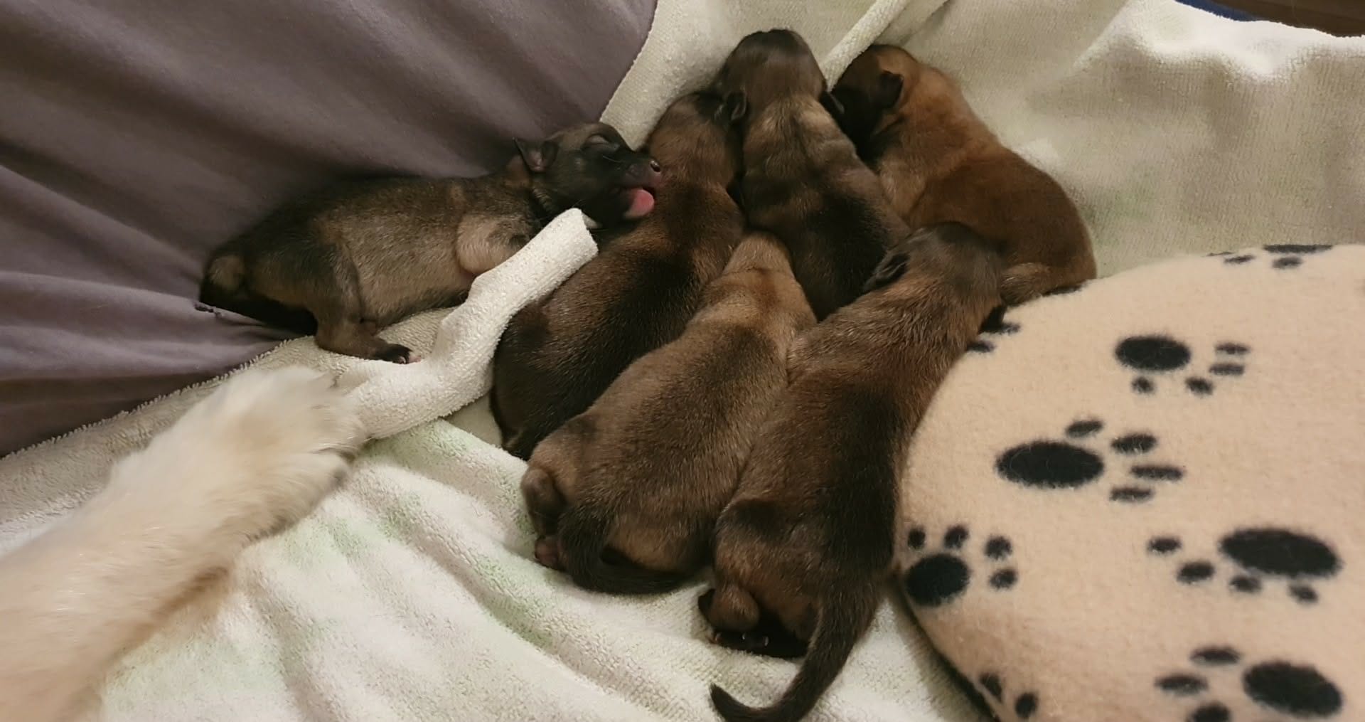 WhatsApp Image 2026-04-11 at 19.39.17(1)